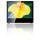 Thumbnail view of CleverTab 19