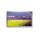 Thumbnail view of SANYO 42LM4WPTC